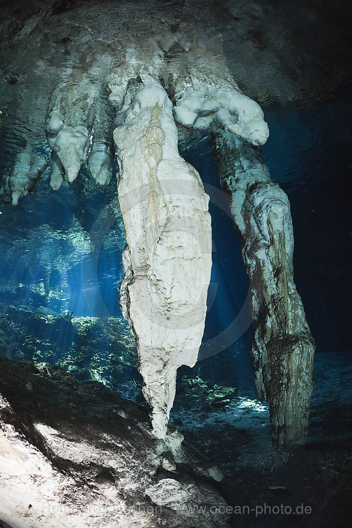 Stalaktiten in Gran Cenote, Tulum, Yucatan Halbinsel, Mexiko