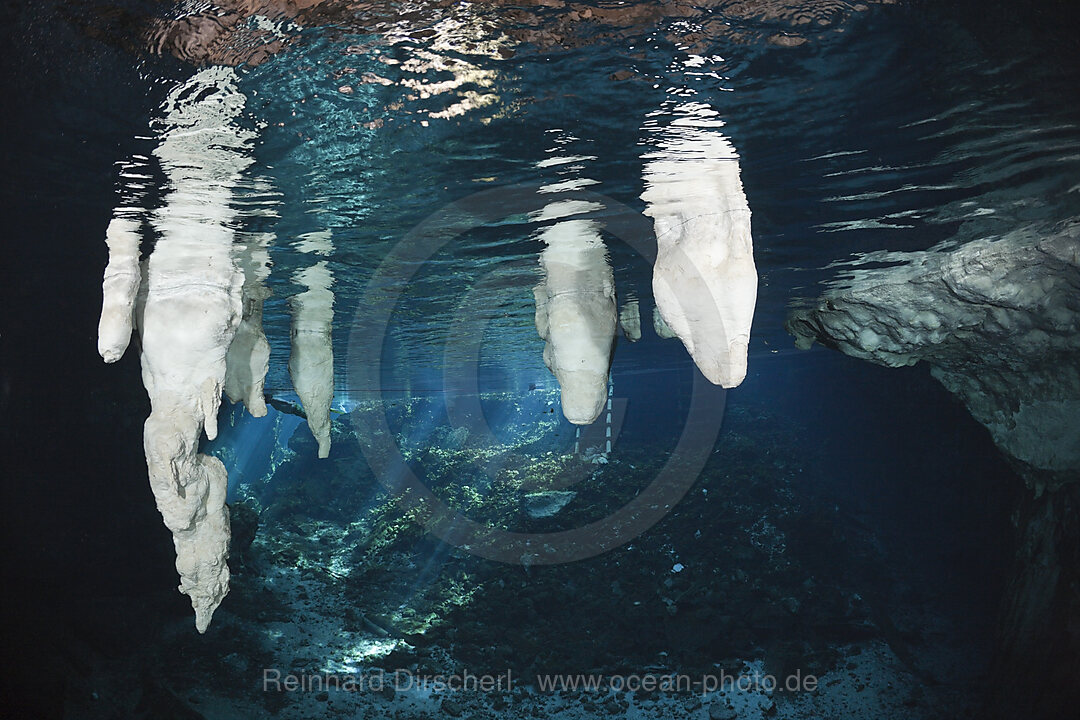 Stalactites in Gran Cenote, Tulum, Yucatan Peninsula, Mexico