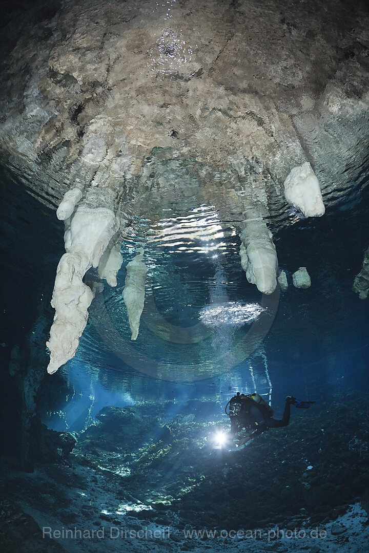 Taucher in Gran Cenote, Tulum, Yucatan Halbinsel, Mexiko