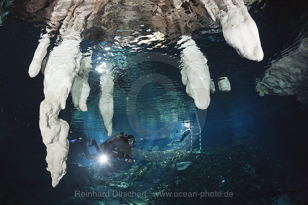 Taucher in Gran Cenote, Tulum, Yucatan Halbinsel, Mexiko