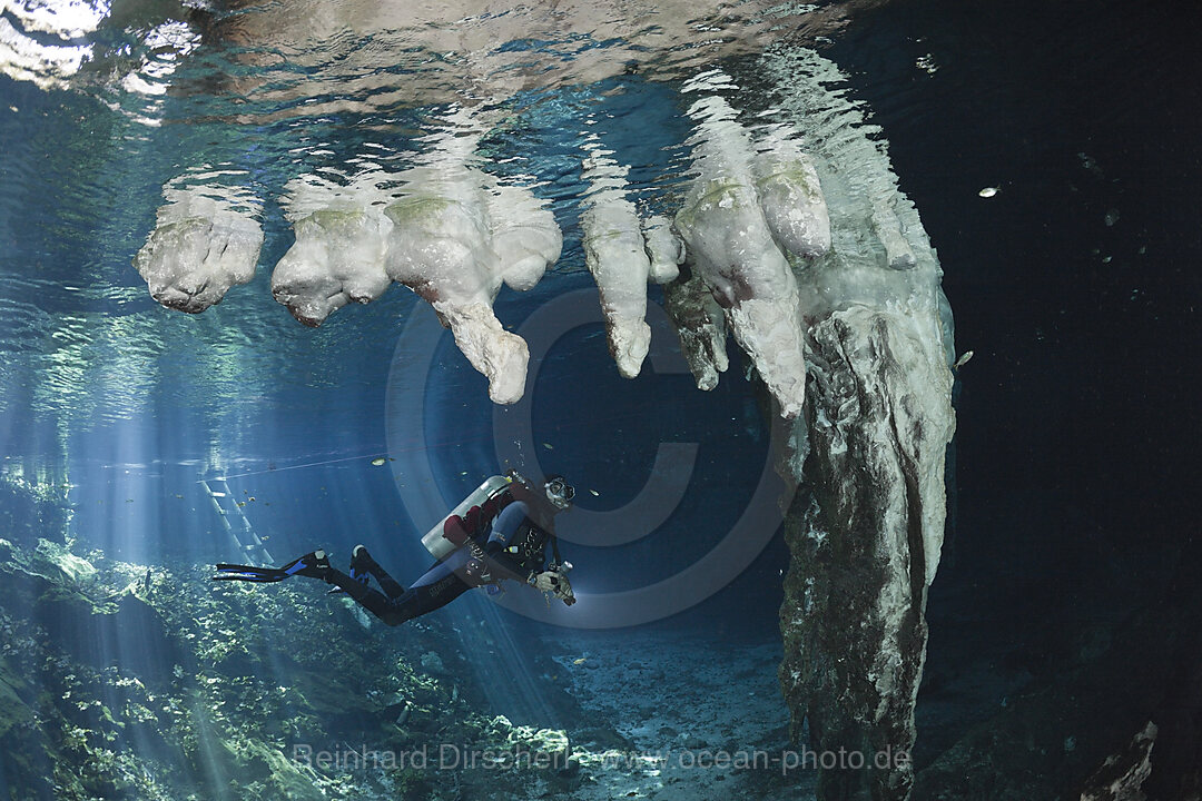 Taucher in Gran Cenote