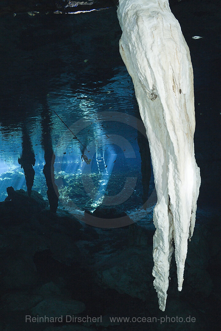 Stalactites in Gran Cenote, Tulum, Yucatan Peninsula, Mexico