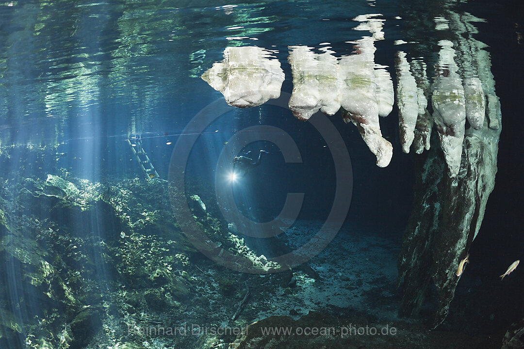 Stalactites in Gran Cenote, Tulum, Yucatan Peninsula, Mexico