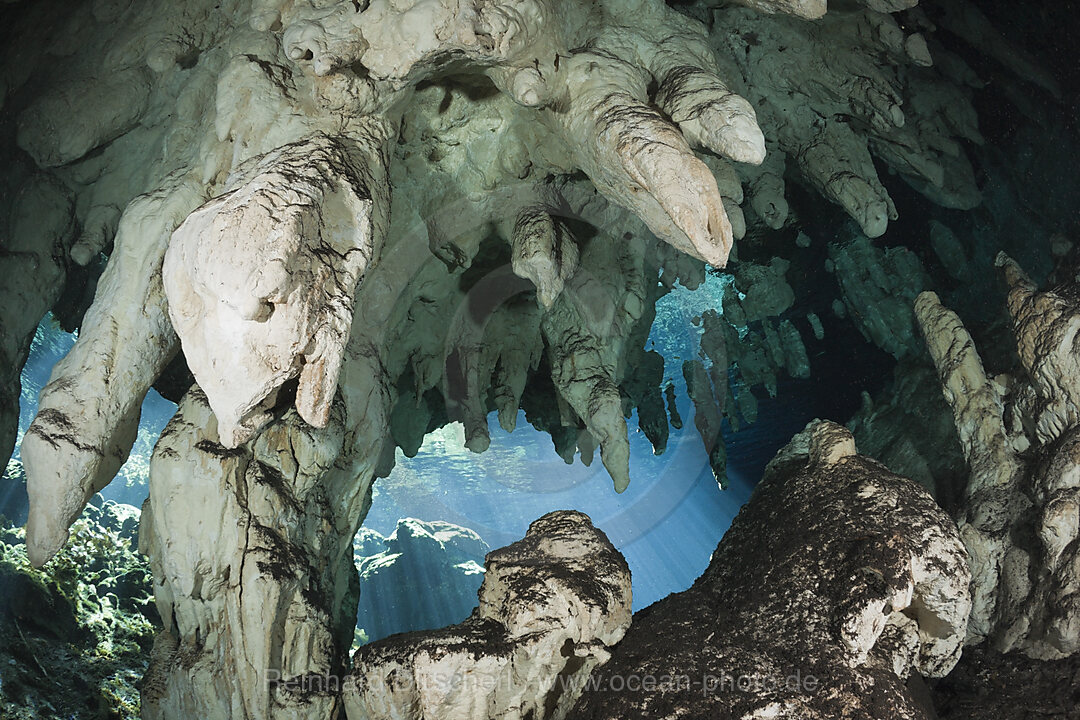 Taucher in Gran Cenote, Tulum, Yucatan Halbinsel, Mexiko