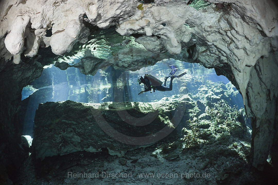 Taucher in Gran Cenote