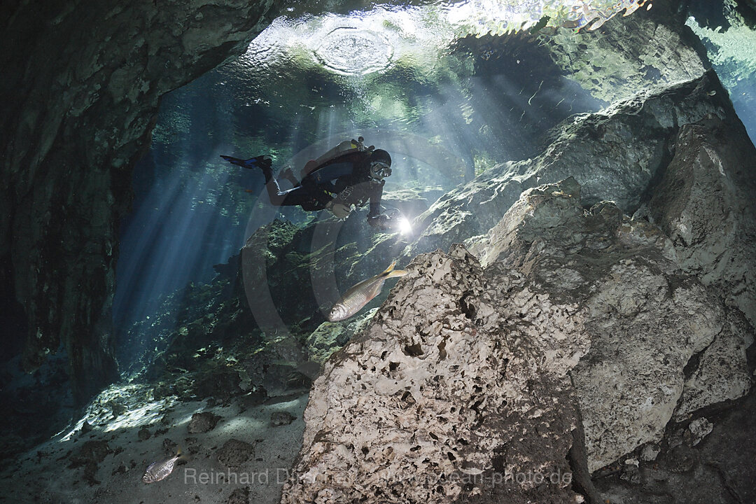 Scuba Diver in Gran Cenote, Tulum, Yucatan Peninsula, Mexico