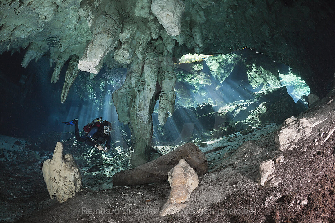 Scuba Diver in Gran Cenote, Tulum, Yucatan Peninsula, Mexico