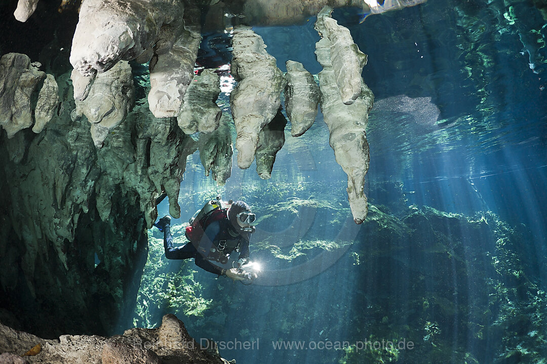 Scuba Diver in Gran Cenote, Tulum, Yucatan Peninsula, Mexico