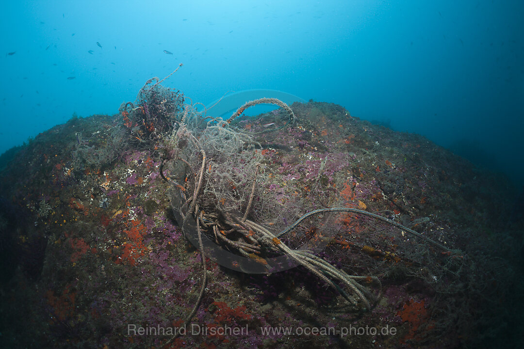 Verlorenes Fischernetz im Riff, Cap de Creus, Costa Brava, Spanien