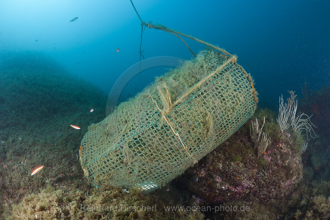 Fish Trap in Reef, Cap de Creus, Costa Brava, Spain