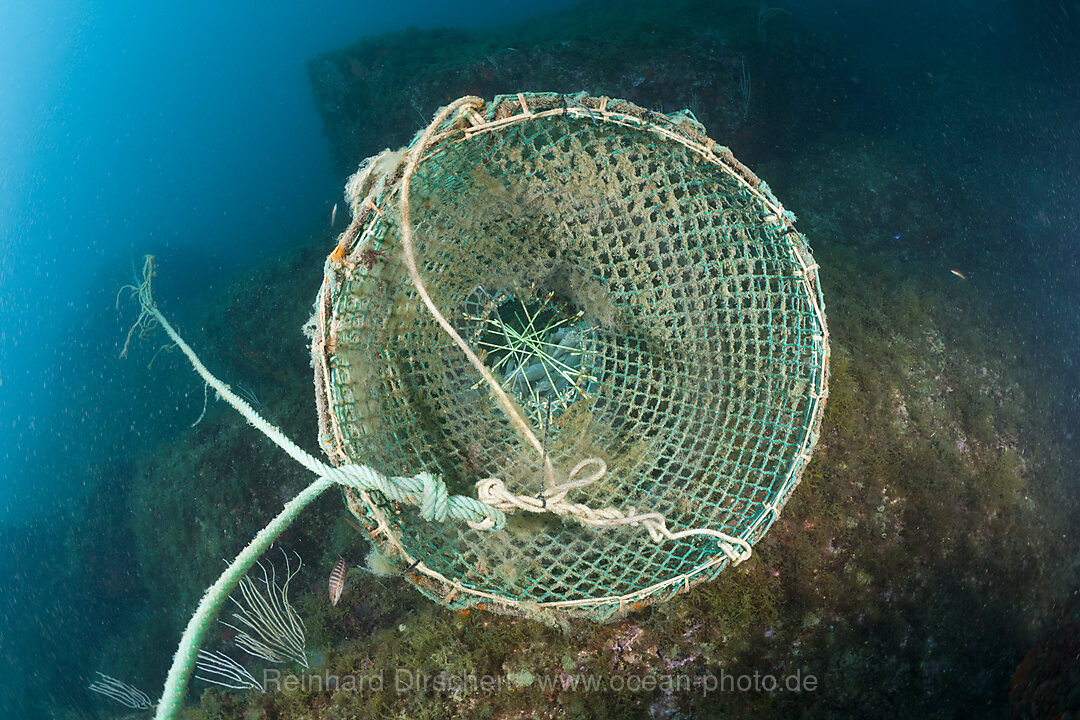 Fish Trap in Reef, Cap de Creus, Costa Brava, Spain