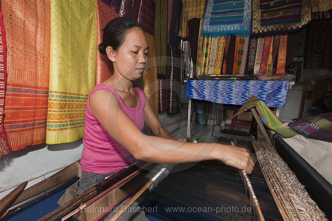 Webster with Weaving Loom