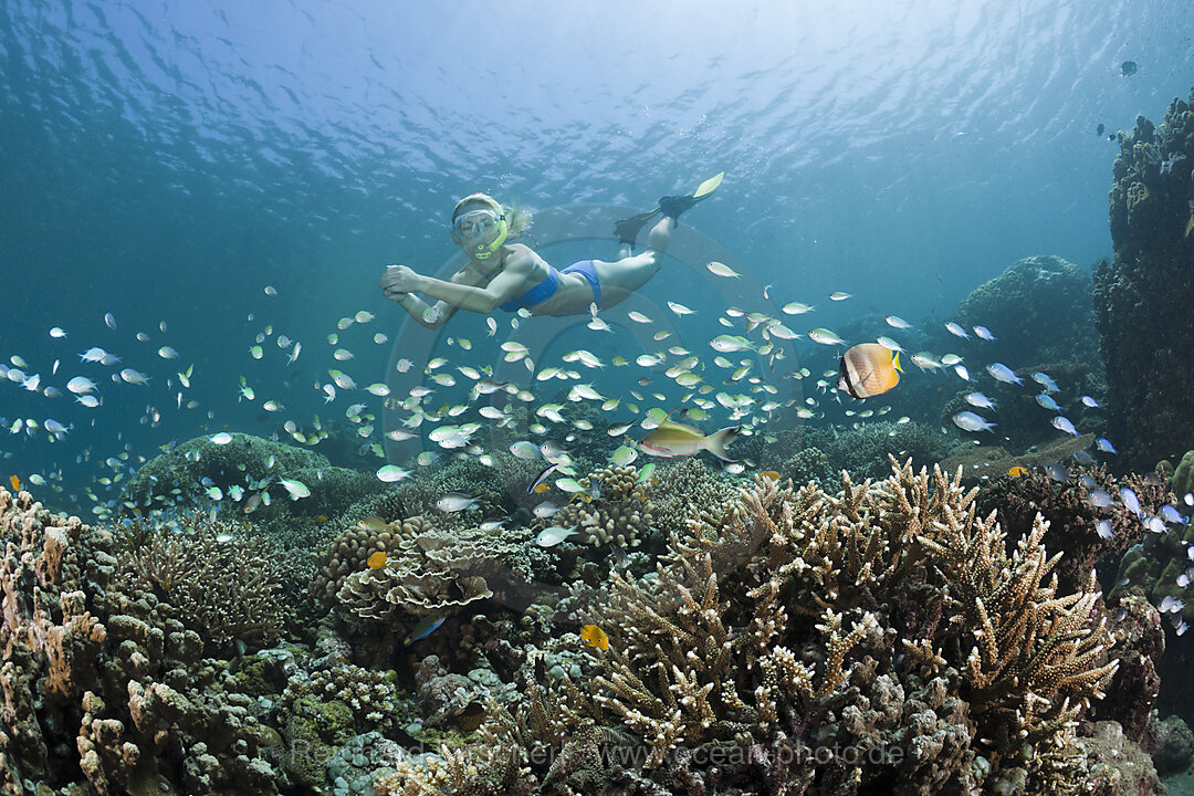 Schnorcheln in Bali