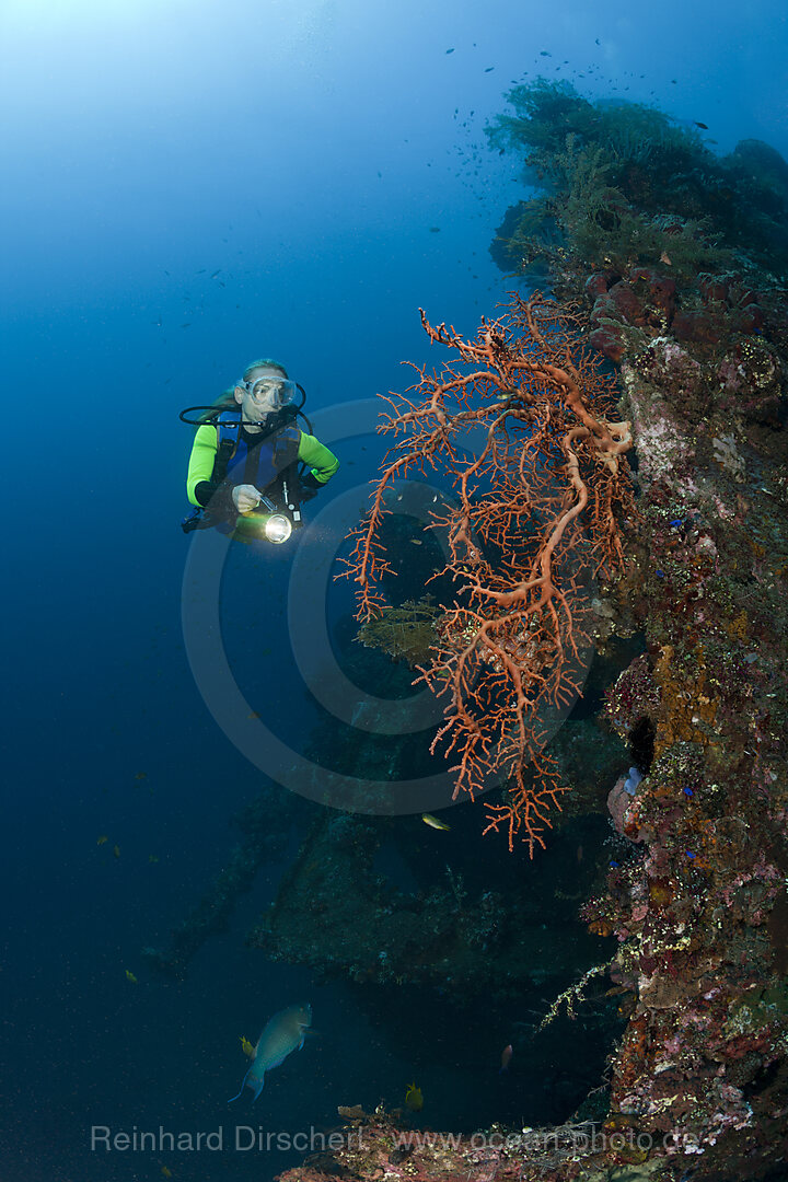 Scuba Diver at Liberty Wreck