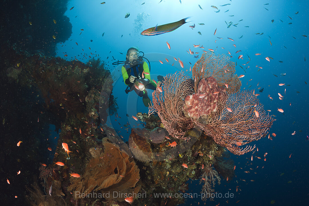 Taucher am Liberty Wrack