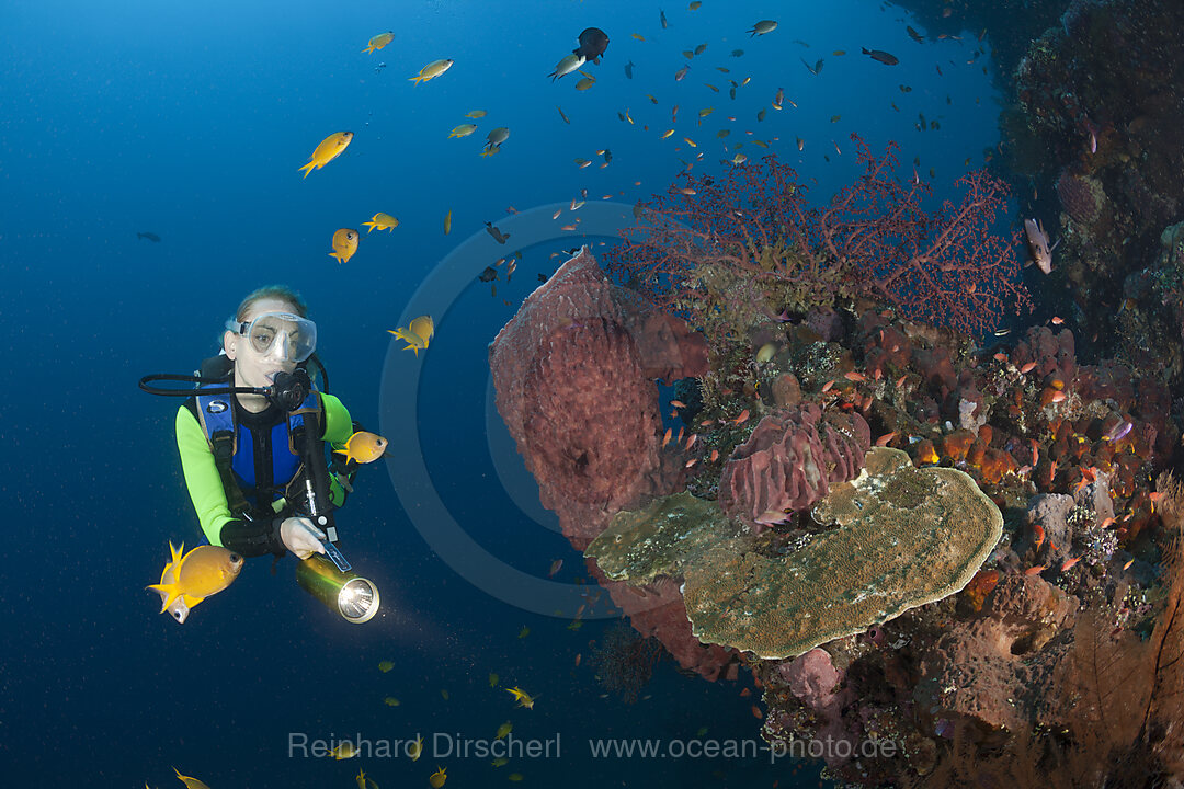 Taucher am Liberty Wrack, Tulamben, Bali, Indonesien