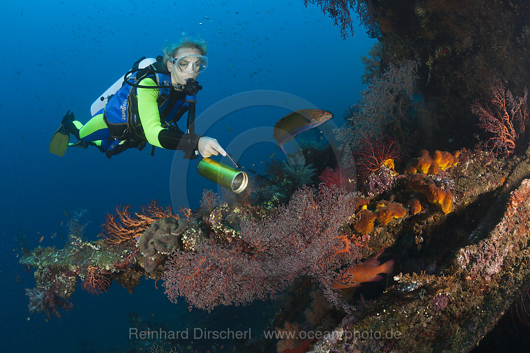 Taucher am Liberty Wrack, Tulamben, Bali, Indonesien