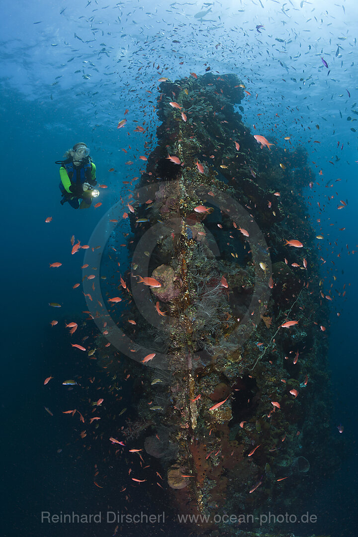 Scuba Diver at Liberty Wreck
