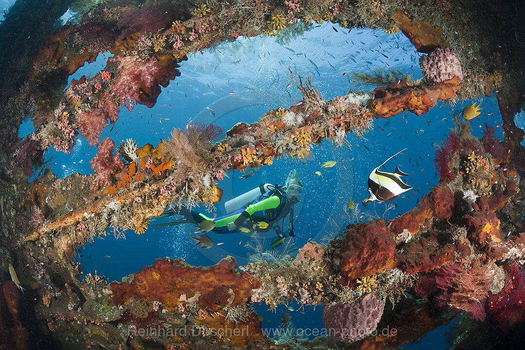 Taucher am Liberty Wrack, Tulamben, Bali, Indonesien