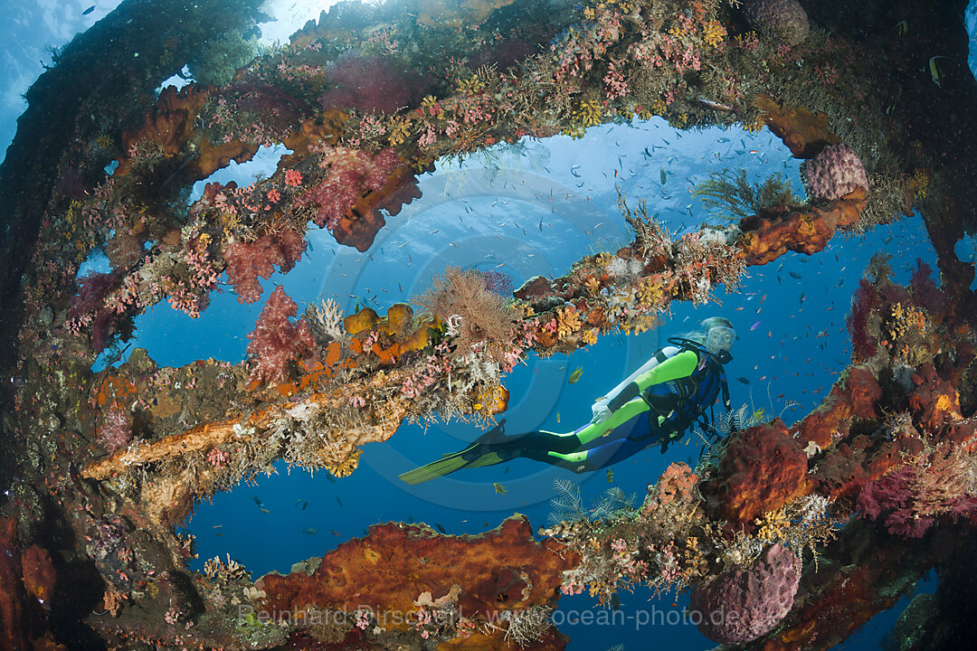 Scuba Diver at Liberty Wreck