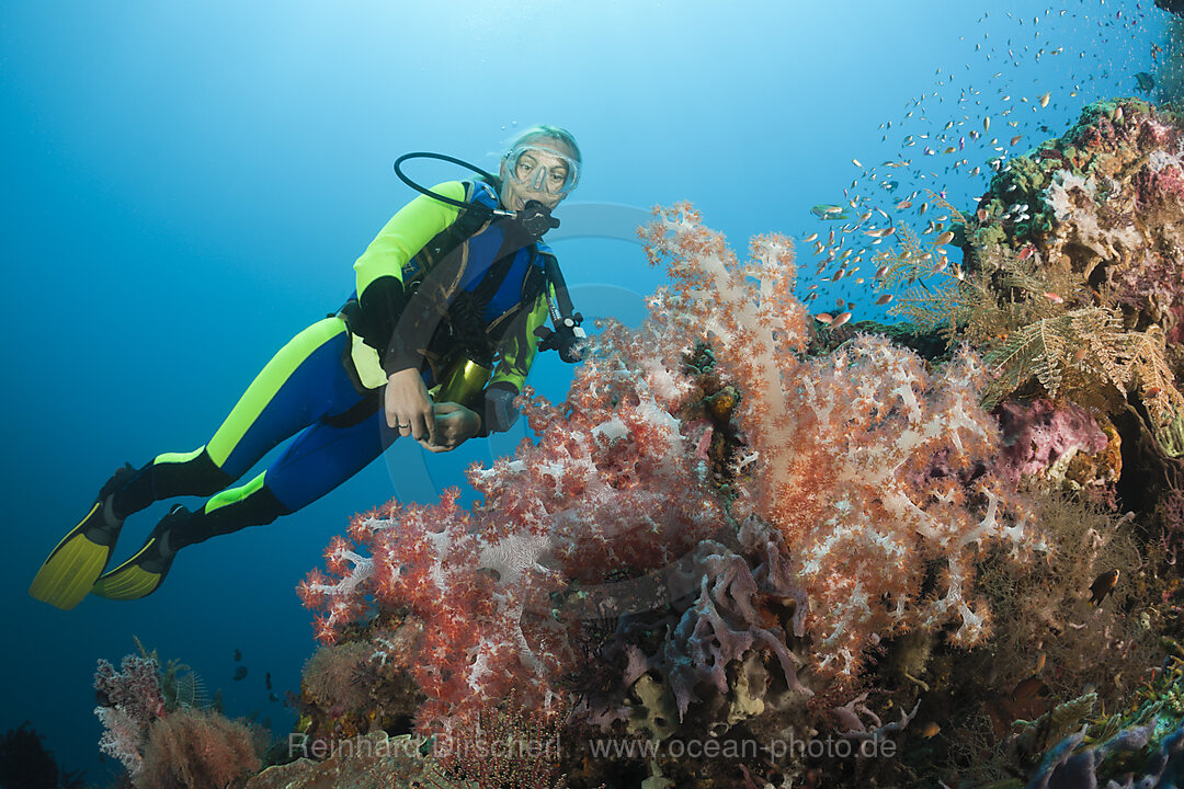 Scuba Diving at Bali
