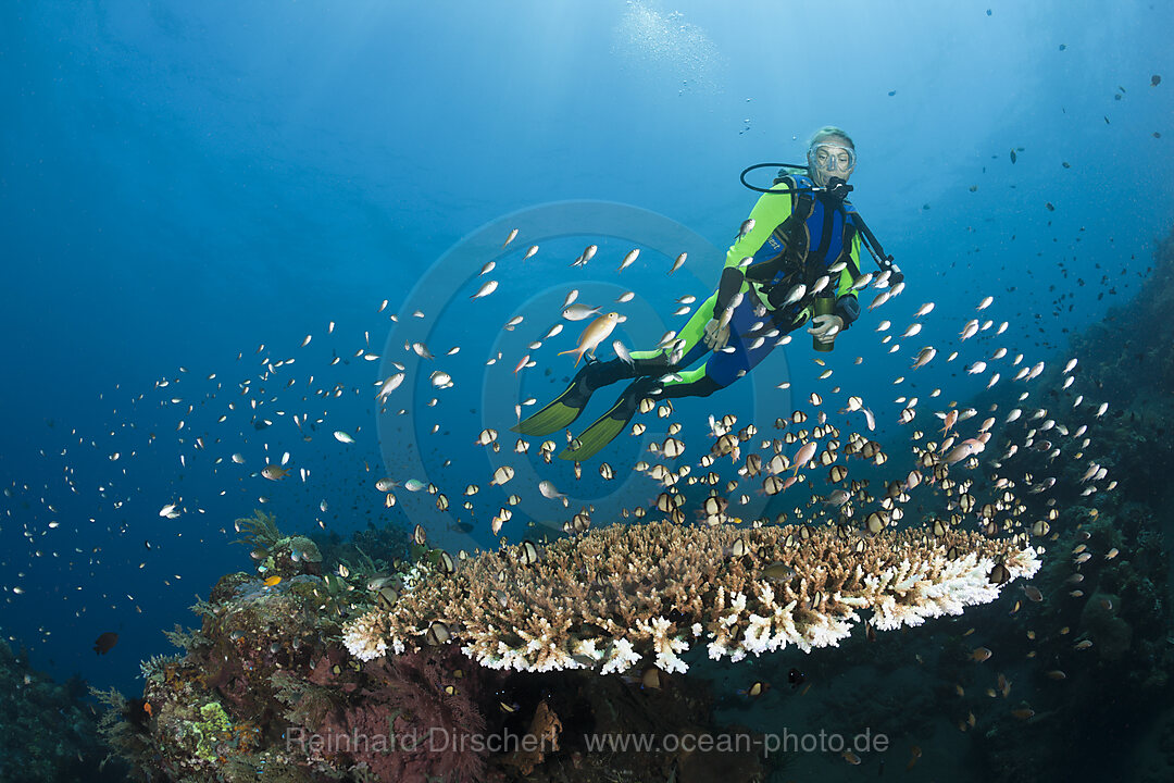 Tauchen in Bali, Alam Batu, Bali, Indonesien