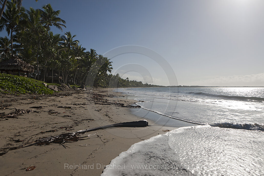 Beach of Pacific Harbour