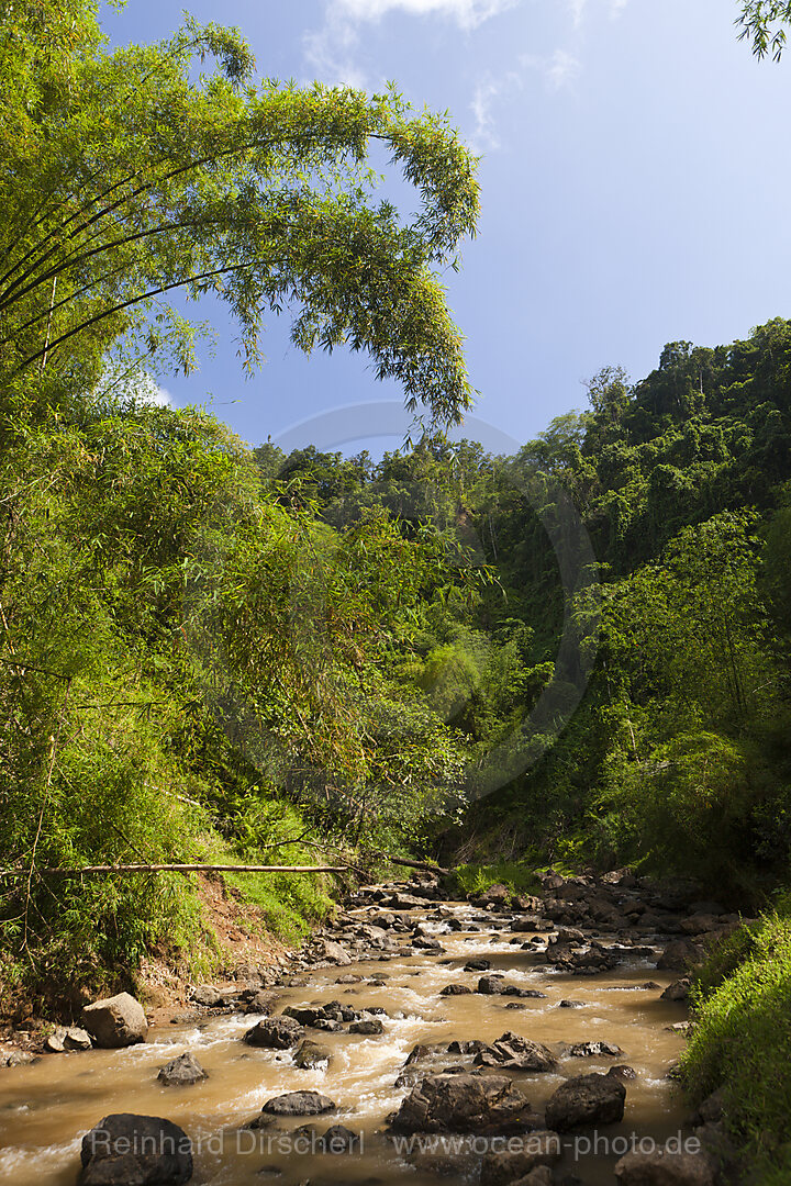 Impresssionen am Navua River, Pacific Harbour, Viti Levu, Fidschi