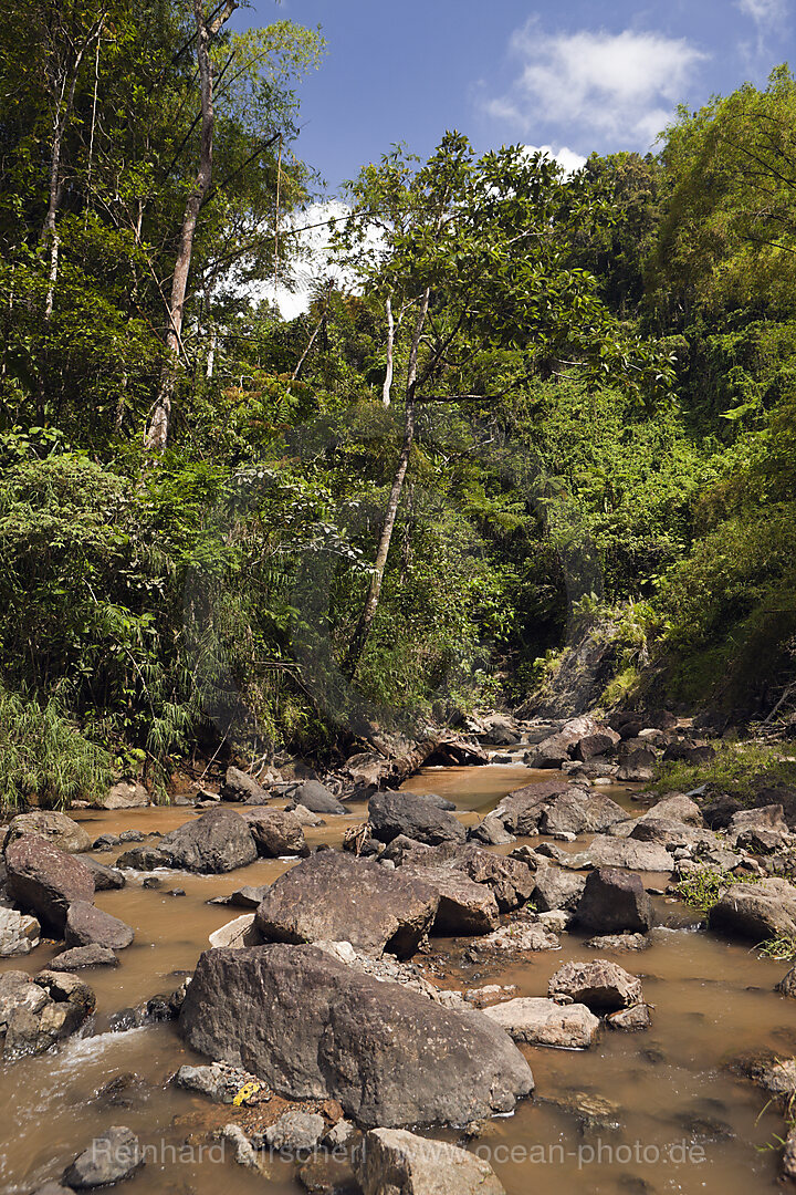 Impresssionen am Navua River, Pacific Harbour, Viti Levu, Fidschi