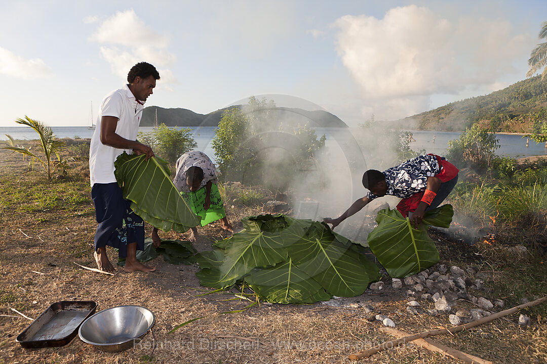 Natives cooking with Lovo Oven