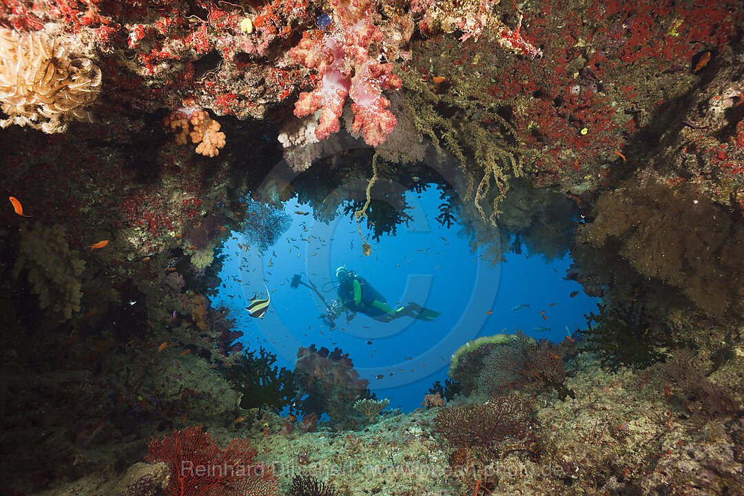 Taucher an Hoehle, Namena Marine Park, Fidschi