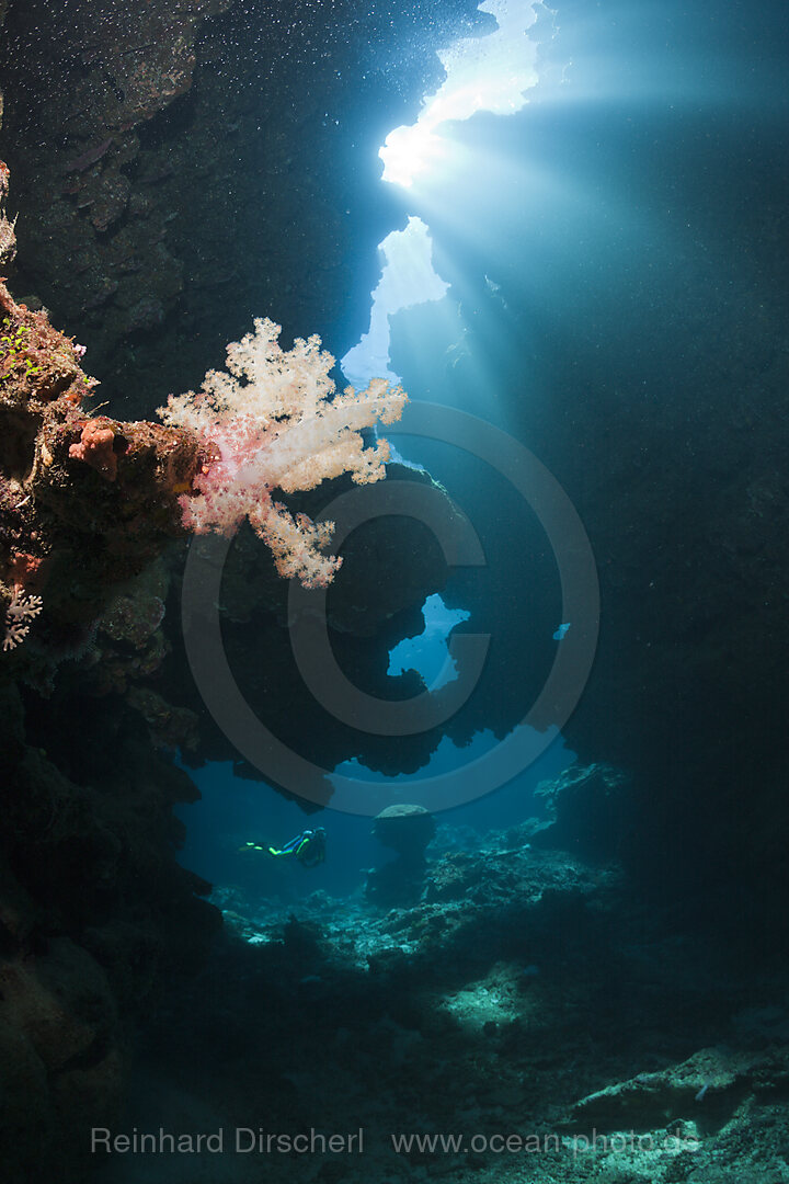 Sonnenstrahlen fallen in Unterwasserhoehle, Namena Marine Park, Fidschi