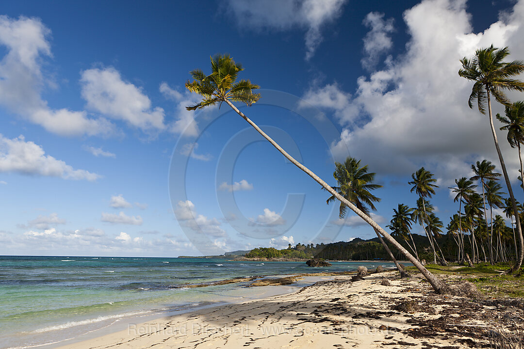 Strand Playa Rincon bei Las Galeras, Halbinsel Samana, Dominikanische Republik