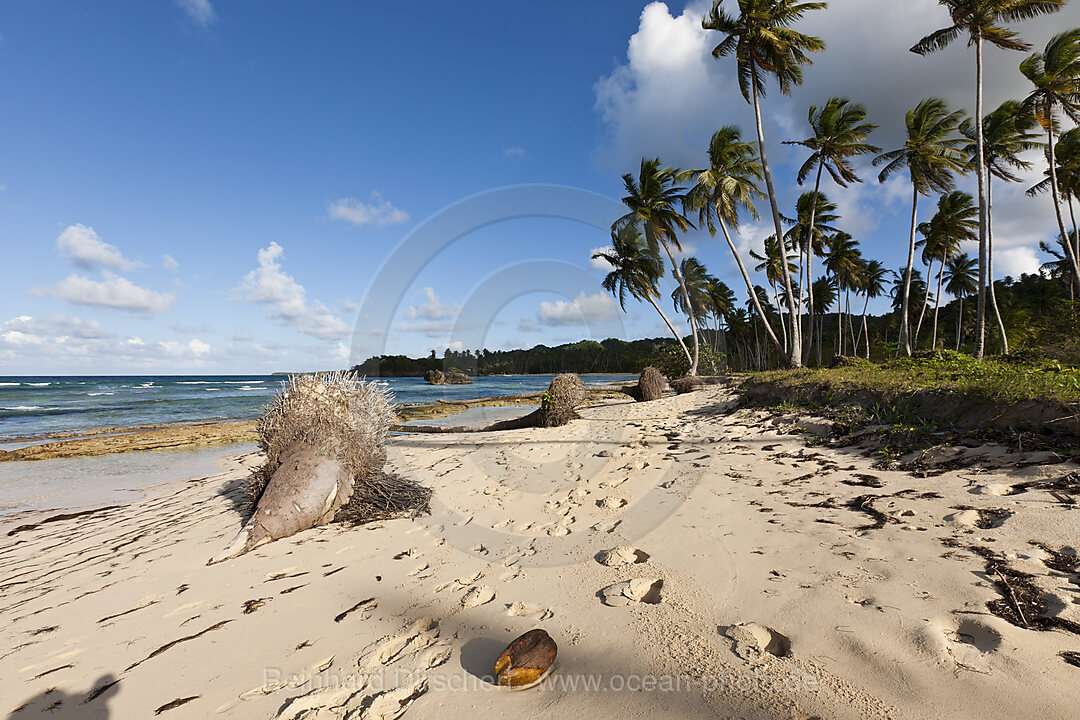 Strand Playa Rincon bei Las Galeras, Halbinsel Samana, Dominikanische Republik