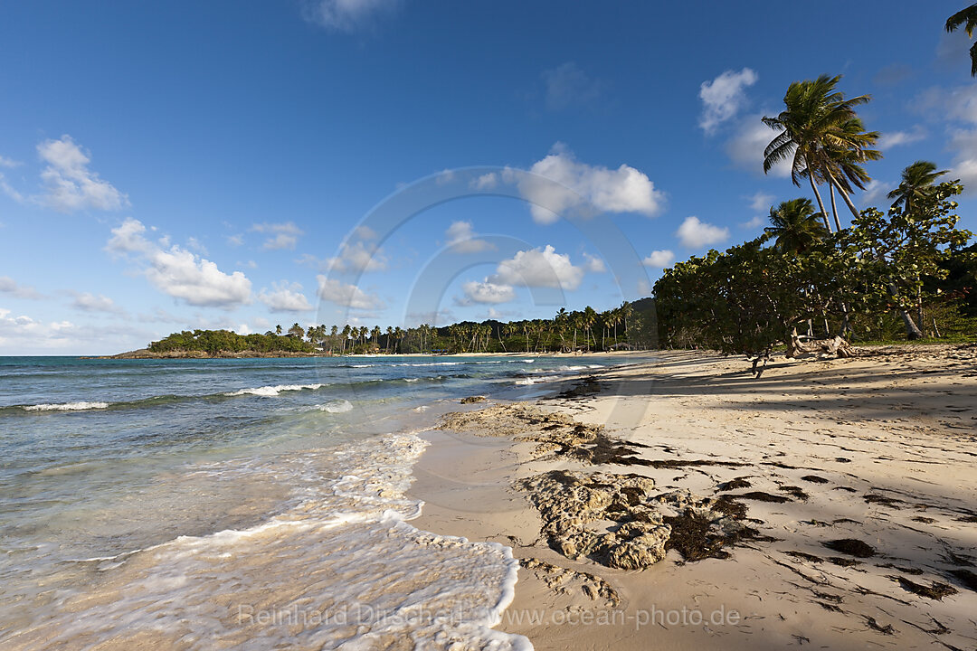 Strand Playa Rincon bei Las Galeras