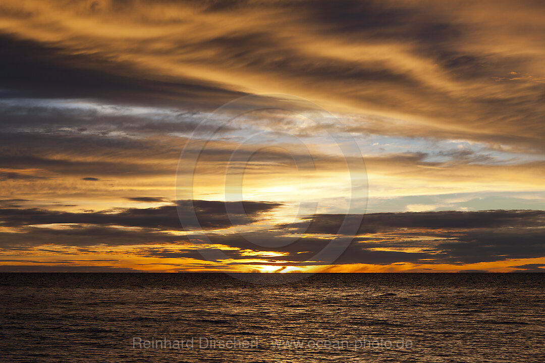 Sonnenaufgang in der Cenderawasih Bucht