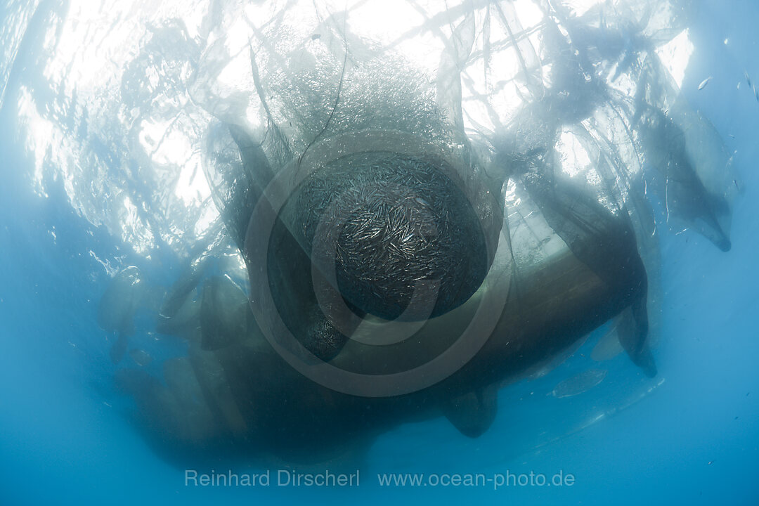 Fishing Net of Fishing Platform called Bagan