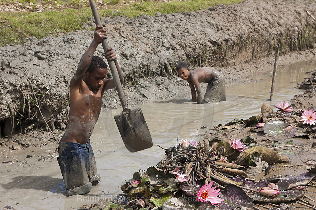 Dani Boys cutting a Canal