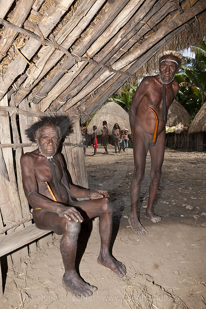 Dani Tribesmen wearing Penis gourds