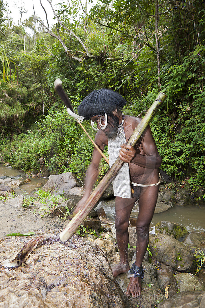 Dani Haeuptling zeigt traditionelle Salzgewinnung an Jiwika Salzquelle, Baliem Valley, West Papua, Indonesien