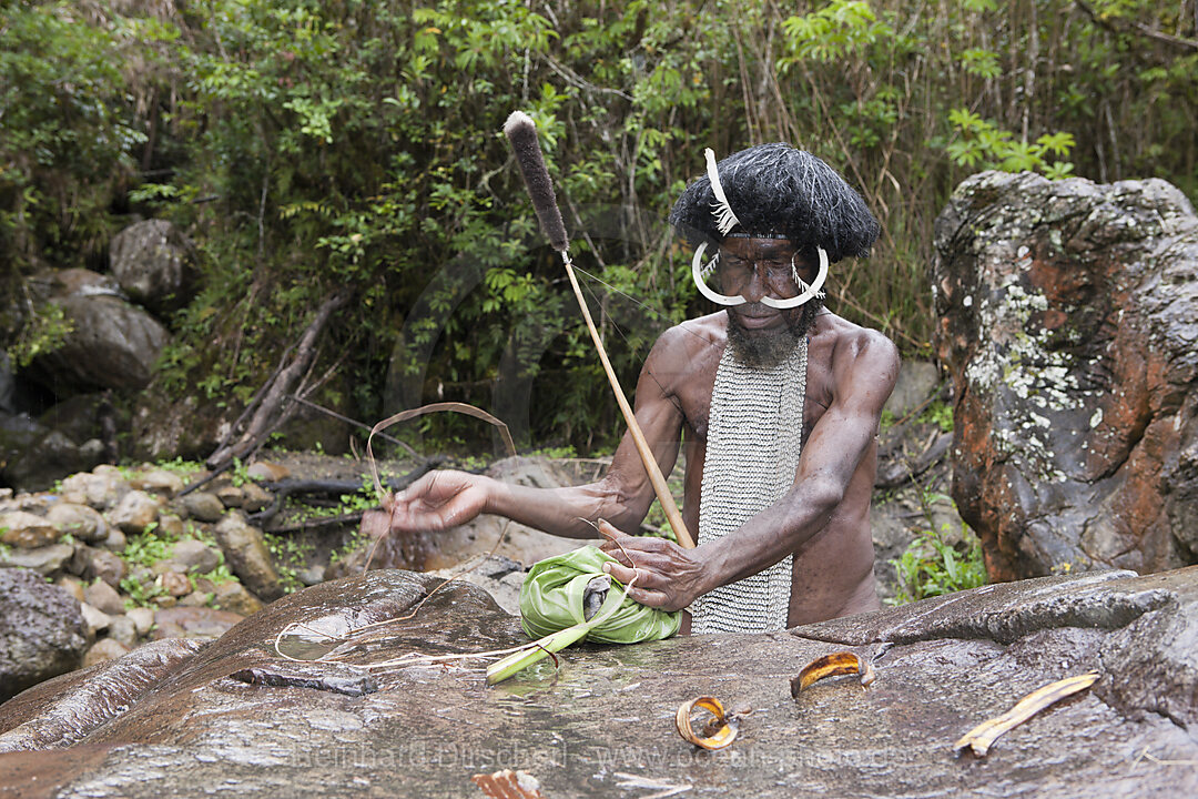 Dani Haeuptling zeigt traditionelle Salzgewinnung an Jiwika Salzquelle, Baliem Valley, West Papua, Indonesien