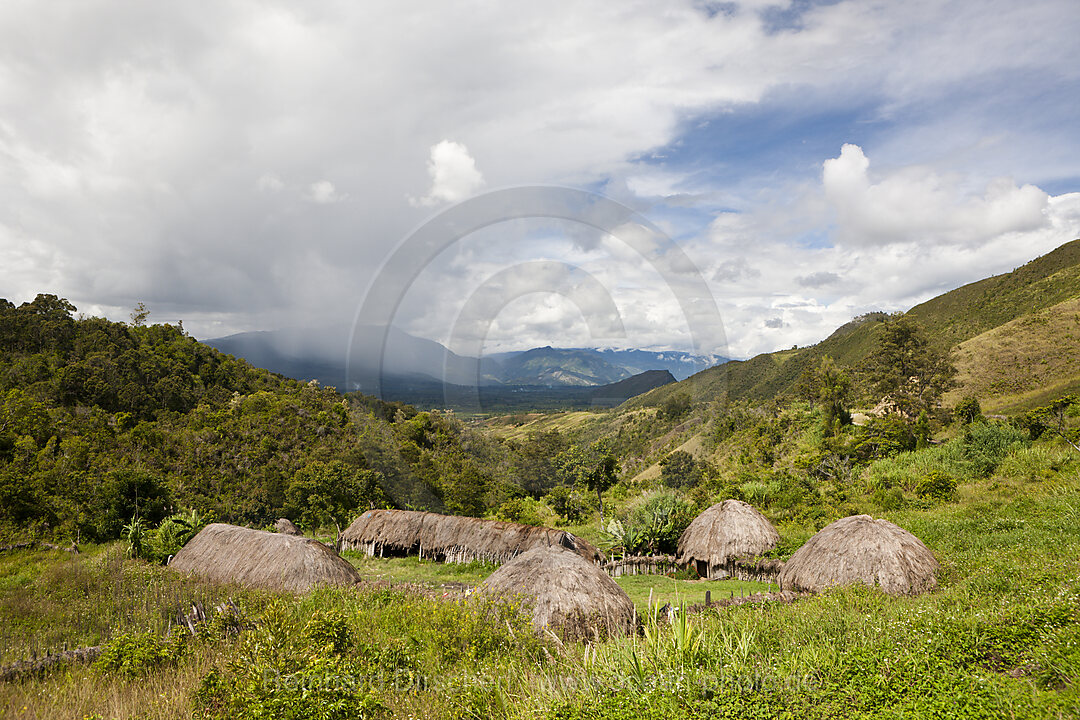 Traditional Dani Village at Baliem Valley
