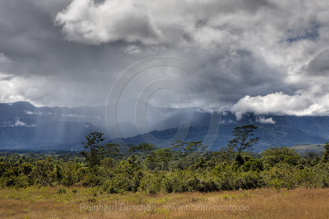 Impressions of Baliem Valley