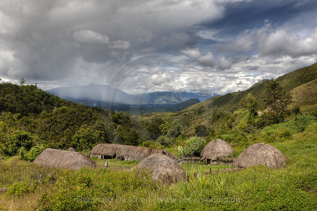 Traditional Dani Village at Baliem Valley