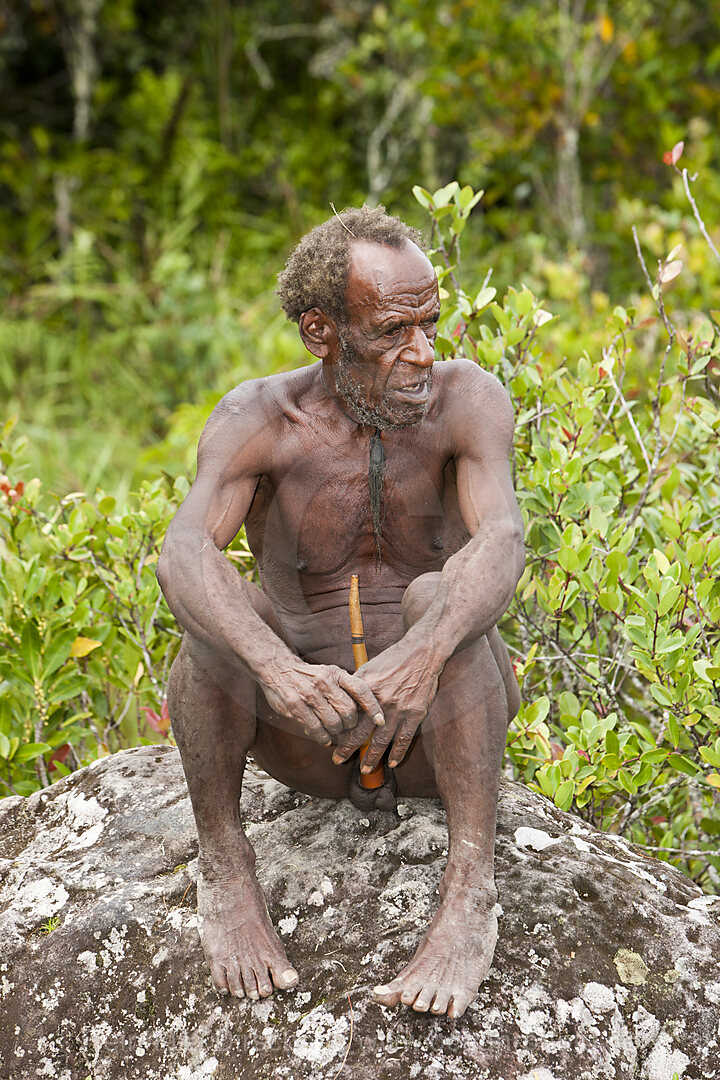 Mann vom Dani-Stamm traegt Peniskoecher, Baliem Valley, West Papua, Indonesien