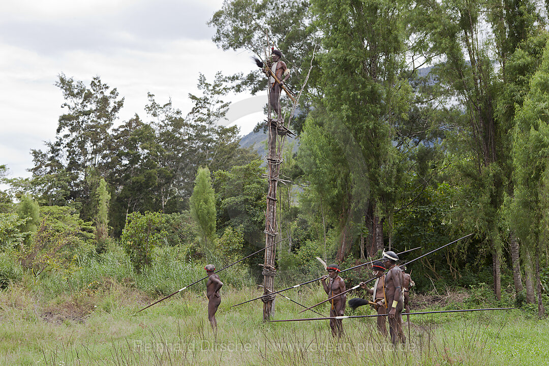 Dani Krieger, Baliem Valley, West Papua, Indonesien