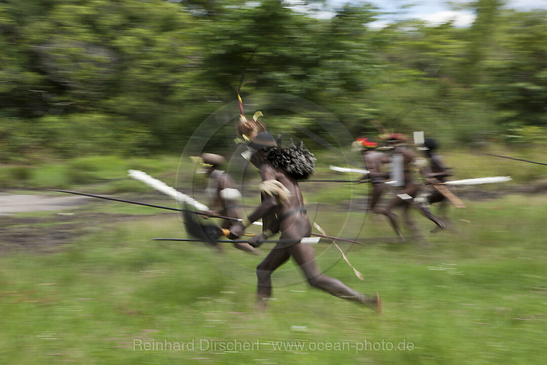 Warrior of Dani Tribe