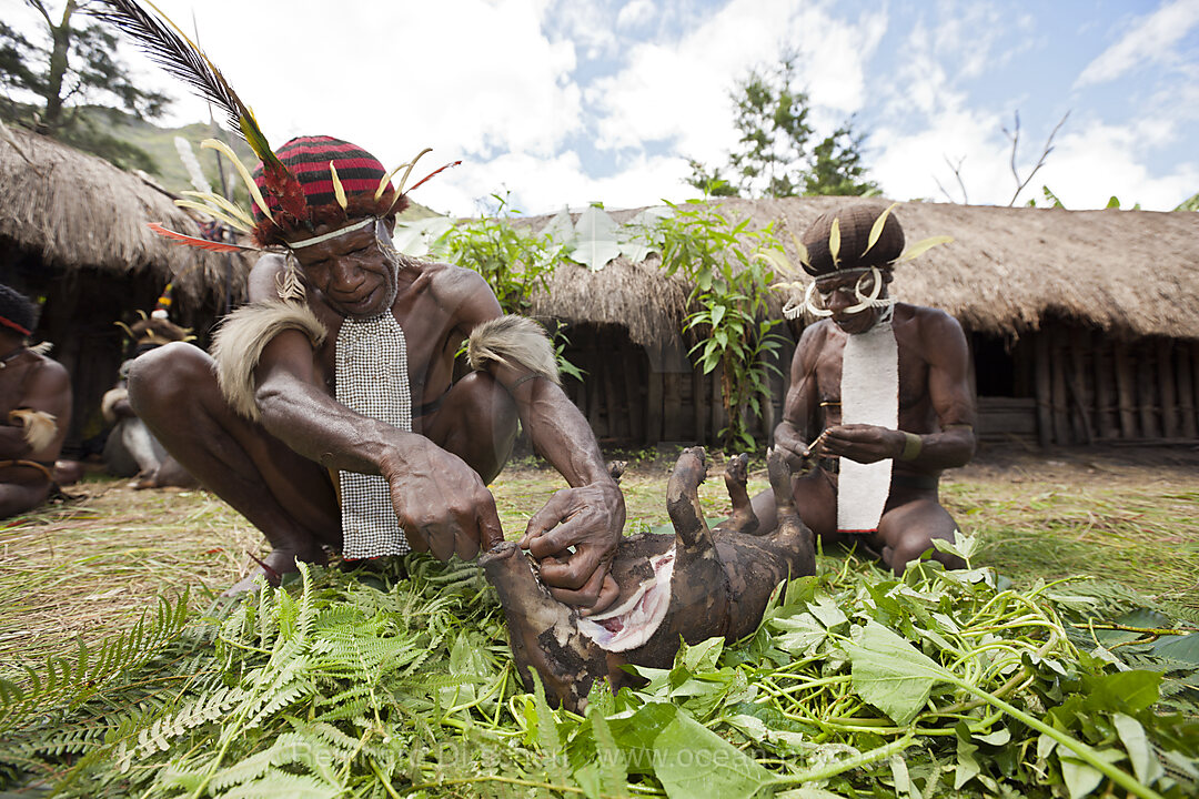 Dani Maenner zerteilen Schwein bei Schweinefest, Baliem Valley, West Papua, Indonesien