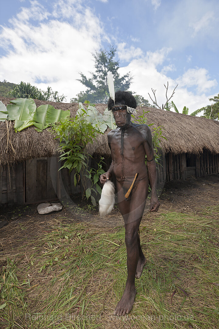 Mann vom Dani-Stamm traegt Peniskoecher, Baliem Valley, West Papua, Indonesien