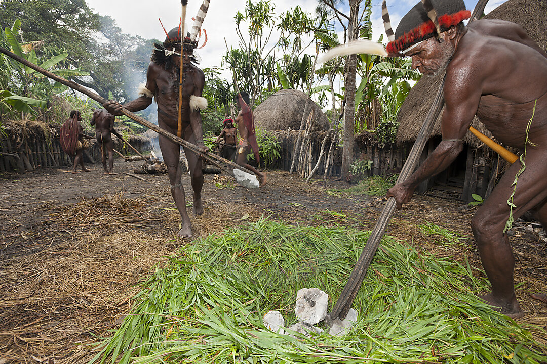 Dani Maenner erhitzen Steine fuer Erdofen, Baliem Valley, West Papua, Indonesien